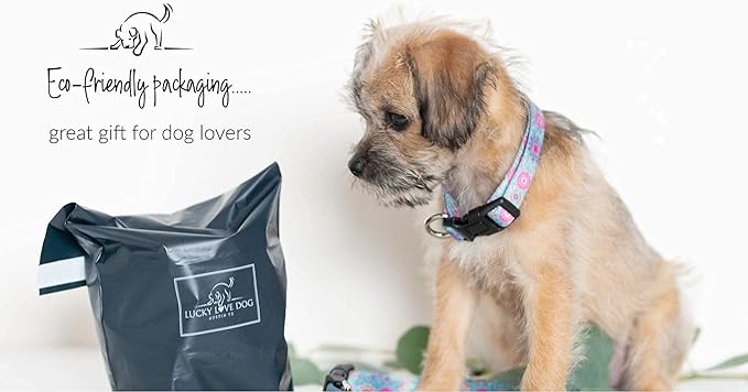 Lucky Love Dog, Boho Chic Matching Dog Collar and Leash Set, Vivid Pink and Turquoise Collar and Leash for Dogs, Soft, Adjustable, Safe for Training and Walking - (Medium, Clara Combo) LuckyLoveDog