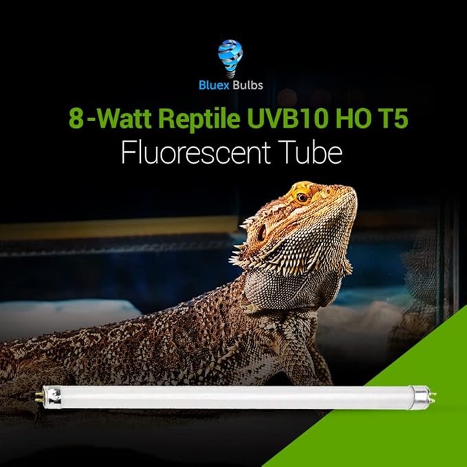2 Pack 8W-Watt T5 HO Reptile Light Desert UVA UVB 10.0 Fluorescent Tube - 12" Terrarium Hood Light Suitable for Desert Reptile Lizards Bearded Dragons & Promotes Natural Behavior UVB Bulb BluexBulbs