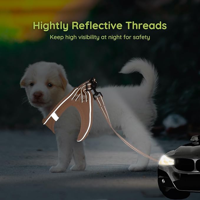 BELLA & PAL Puppy Harness with Leash Set, Dog Harness for Small Dogs No Pull, Dog Leash for Small Dogs, Step in Harness for Extra Small Dogs, Peach Harness, XXS BELLAPAL