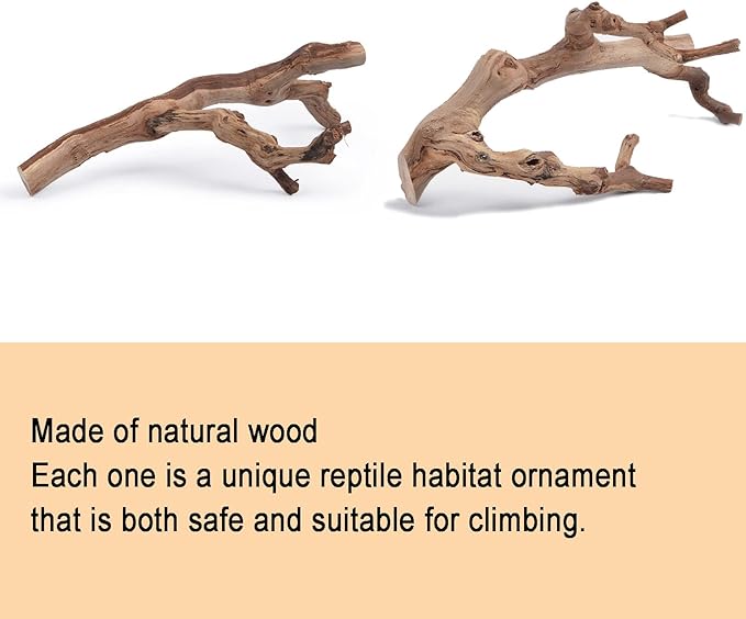 BNOSDM 2PCS Reptile Wood Branches Decor Lizard Habitat Decoration Snake Climbing Branch Accessories Terrarium Tree Trunk Ornament for Bearded Dragon Gecko Frog Chameleon Spider BNOSDM