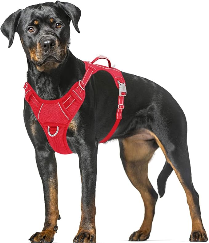BARKBAY No Pull Dog Harness Large Reflective Dog Harness with Front Clip and Easy Control Handle for Walking Training Running with ID tag Pocket(Red,XL) BARKBAY
