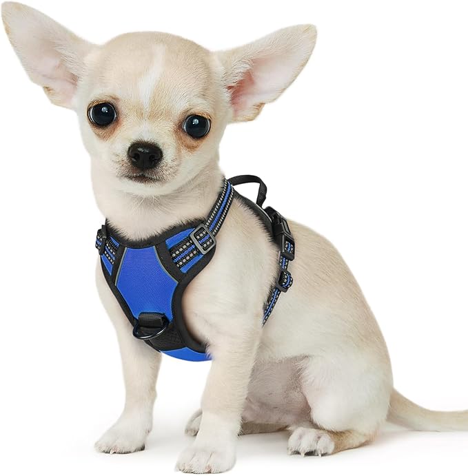 Eagloo Small Dog Harness No Pull, Service Vest with Reflective Strips and Control Handle, Adjustable and Comfortable for Easy Walking, No Choke Pet Harness with 2 Metal Rings, Blue, XS GoExplorewithEagloo