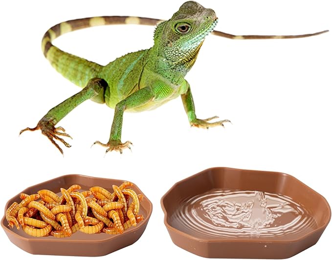4 Pack Reptile Food Dish Bowl, Plastic Worm Water Dish Plate for Lizard Gecko Bearded Dragon Chameleon, White and Brown, 2 Sizes COMSUN