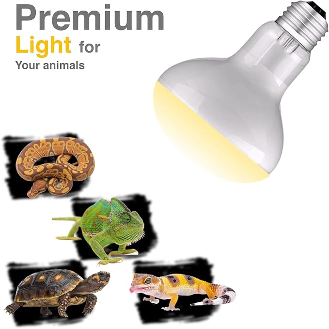 Reptile Heat Bulb Lamp, 2-Pack 100W Daylight Basking Spot, Bearded Dragon/Turtle/Lzard/Gecko Light Bulb, UVA Heat Lamp, Basking Light for Reptiles ReptiKing