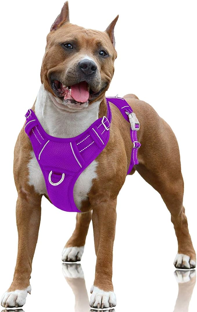 BARKBAY No Pull Dog Harness Large Reflective Dog Harness with Front Clip and Easy Control Handle for Walking Training Running with ID tag Pocket(Purple,L) BARKBAY
