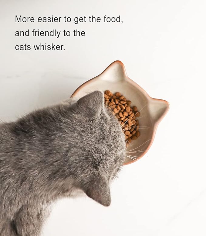 Nihow Elevated Cat/Dog Bowls: 5 Inch Ceramic Raised Cat Food & Water Bowl Set for Protecting Pet's Spine - Feeding & Watering Supplies for Pets - Elegant Brown (4.5 OZ /1 PC) - PAWPICO