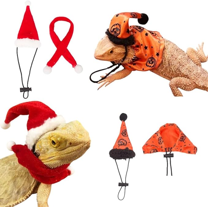 Bearded Dragon Halloween Hat Cloak Lizard Clothes Christmas Hat Scarf Set, Small Animal Halloween Christmas Festival Costume (red and Orange) KUNBIUH