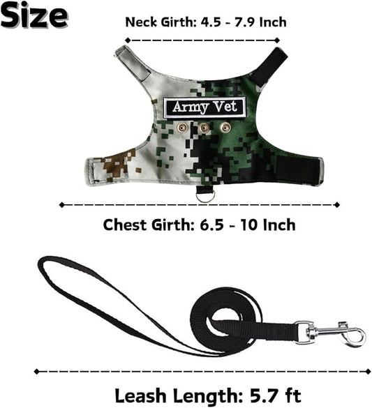 Bearded Dragon Harness and Leash Set - Adjustable Lizard Harness with Replaceable Patch Outdoor Traction Rope Walking Training Leash Reptile Halloween Costume Accessories for Small Pets (Green) SEZDEKI