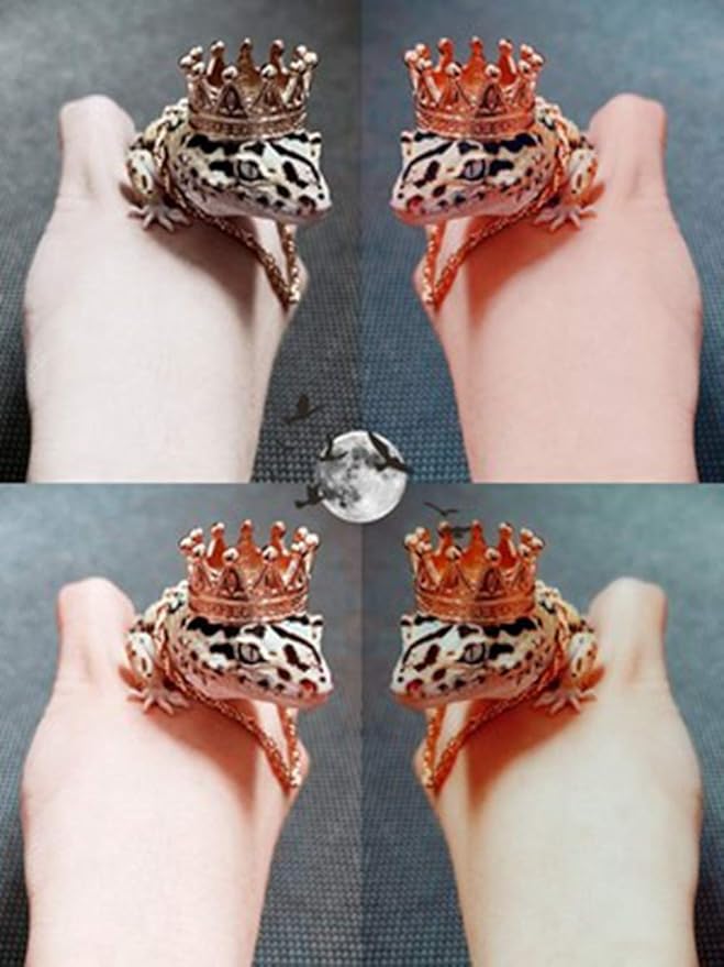 HAICHEN TEC Lizard Crown Lizard Clothes Accessories Gold Alloy Crown Cool Reptile Costume Photo Props Party Jewelry Lizard Clothes for Bearded Dragons Leopard Gecko Iguana Amphibians (Crown) HAICHENTEC