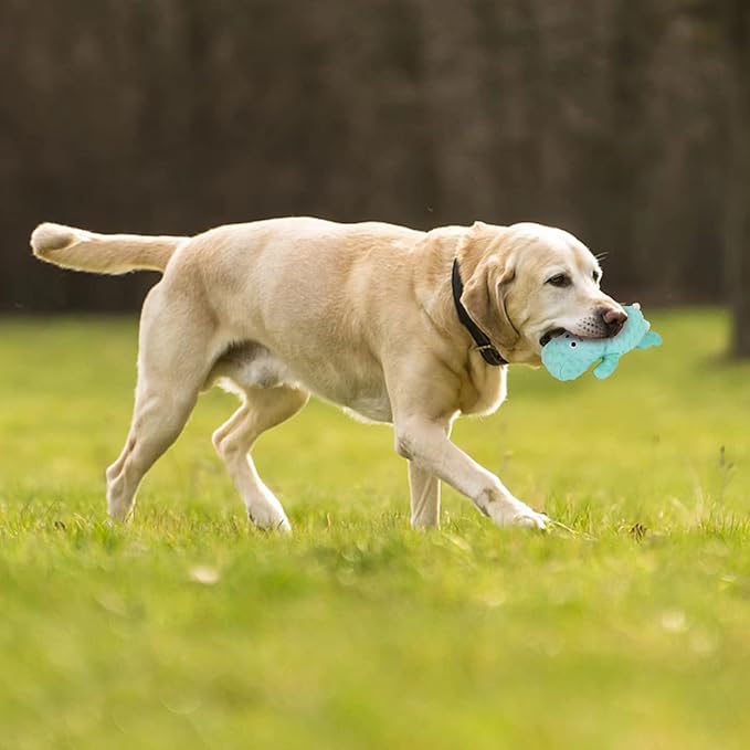 DODODOLA Cute Stuffed Hippo Dog Toys Squeaky Dog Toys with Crinkle Paper Dog Plush Toys for Large Breed Dog Chew Toys for Small, Medium, Large Dogs - PAWPICO