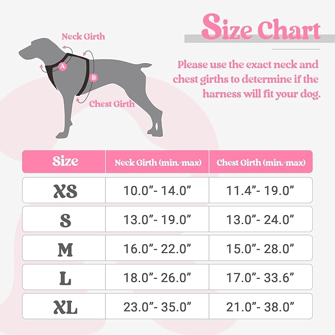rabbitgoo Dog Harness No Pull with 2 Leash Clips, Adjustable Soft Padded, Reflective Oxford No Choke Pet Vest with Easy Control Handle for Large Dogs, Pink, L rabbitgoo