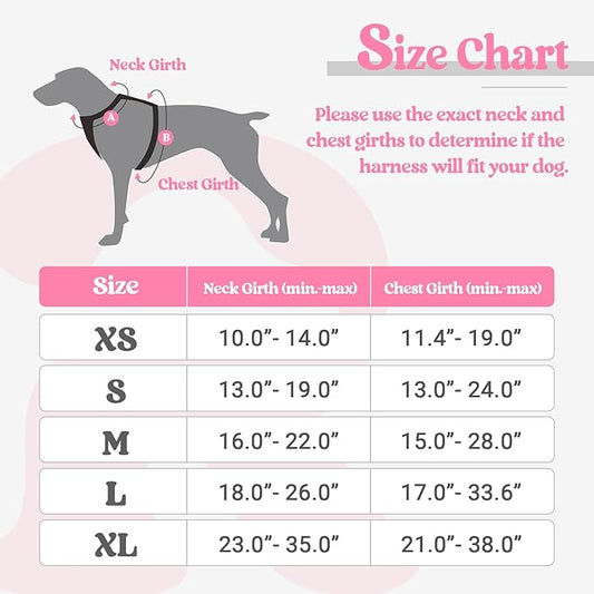 rabbitgoo Dog Harness No Pull with 2 Leash Clips, Adjustable Soft Padded, Reflective Oxford No Choke Pet Vest with Easy Control Handle for Medium Sized Dogs, Pink, M rabbitgoo