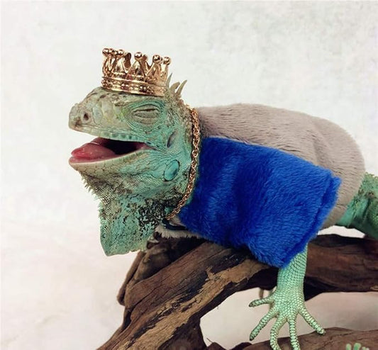 Lizard Necklace Lizard Clothes Accessories Gold Alloy Neck Chain Reptile Cool Stylish Costume Photo Props Party Lizard Clothes for Bearded Dragons Leopard Gecko Iguana Amphibians (Necklace) HAICHENTEC