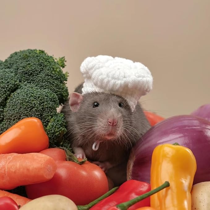 Guinea Pig Chef Hat - Hand Knitted Small Animal Cooking Chef Cap with Adjustable Strap Halloween Costume Outfit Prop Clothes Accessories for Rabbit Bunny Chinchilla Kitten Puppy (Small) SEZDEKI