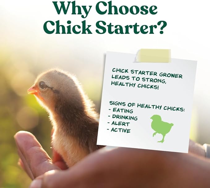 Manna Pro Chick Starter Grower - Medicated Chick Feed Crumble for Young Chickens - Formulated with Amprolium - 5 lbs MannaPro