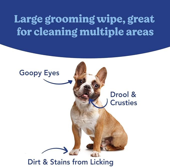 ANGELS’ EYES Face, Eye & Paw Cleansing & Tear Stain Wipe, Large 4”x7” Hypoallergenic Dog & Cat Wipes, Reduce Tear Stains, Dirt, and Discharge, Fragrance Free, 40 Count AngelsEyes