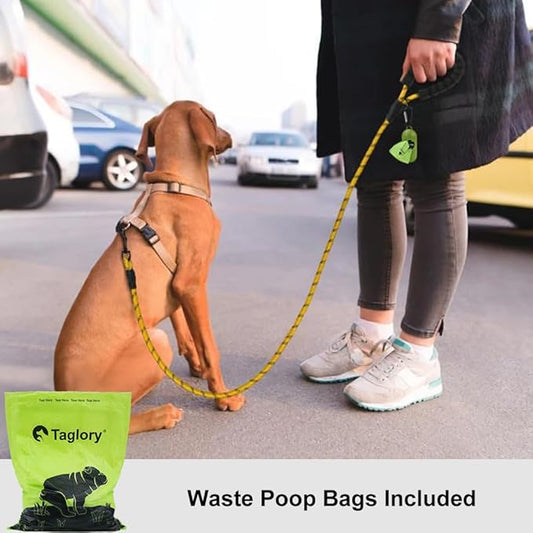 Taglory Rope Dog Leash 4 FT with Comfortable Padded Handle, Highly Reflective Threads Leash for Small Dogs, 3/8 inch, Yellow Taglory