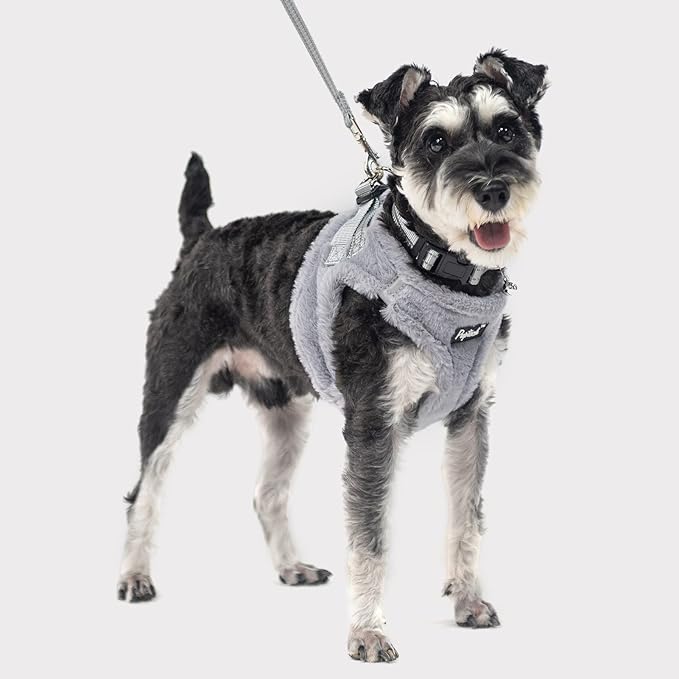 PUPTECK Adjustable Dog Harness Collar and Leash Set Step in No Pull Pet Harness for Small Medium Dogs Puppy and Cats Outdoor Walking Running, Soft Mesh Padded Reflective Vest Harnesses, Plush Grey XS PUPTECK