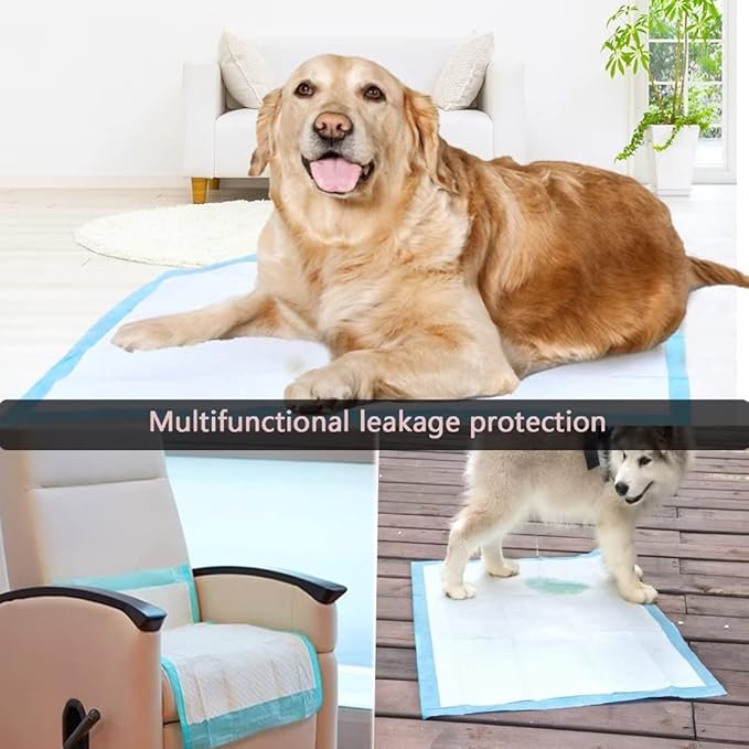 60 Count Pee Pads for Dogs,36"x36" Dog Pee Pads Extra Large,Dog Pads Leak-Proof & Puppy Pads Quick Dry,Disposable Training Potty Pads for Dogs Cats, Rabbits - PAWPICO