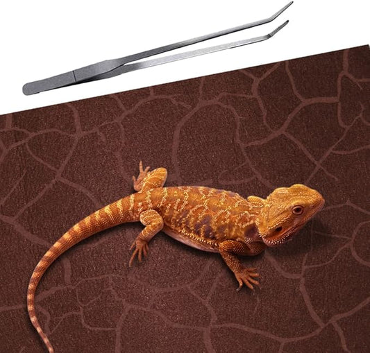 2 Pack Reptile Carpet Desert Reptile Mat & Reversible Substrate, Terrarium Liner Bedding, for Lizard,Chameleon,Gecko,Snake,Ceratophrys with Tweezers Feeding Tong (10 Gallon(21.5x11.5in)) REP+BUDDY