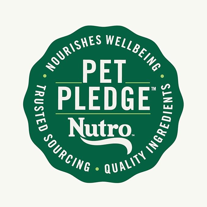 Nutro Natural Choice Adult Dry Dog Food, Salmon & Brown Rice Recipe, 28 lb. Bag - PAWPICO