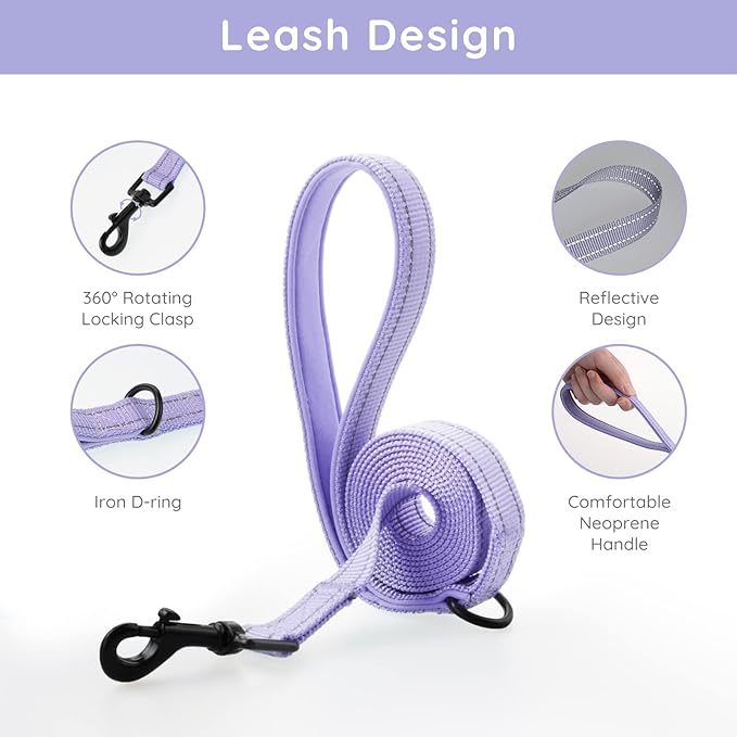 BELLA & PAL Puppy Harness with Leash Set, Dog Harness for Small Dogs No Pull, Dog Leash for Small Dogs, Step in Harness for Extra Small Dogs, Purple Lavender Harness, M BELLAPAL