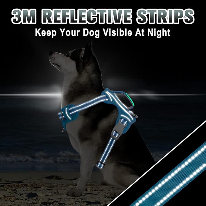 BARKBAY No Pull Dog Harness Large Reflective Dog Harness with Front Clip and Easy Control Handle for Walking Training Running with ID tag Pocket(Blue,S) BARKBAY