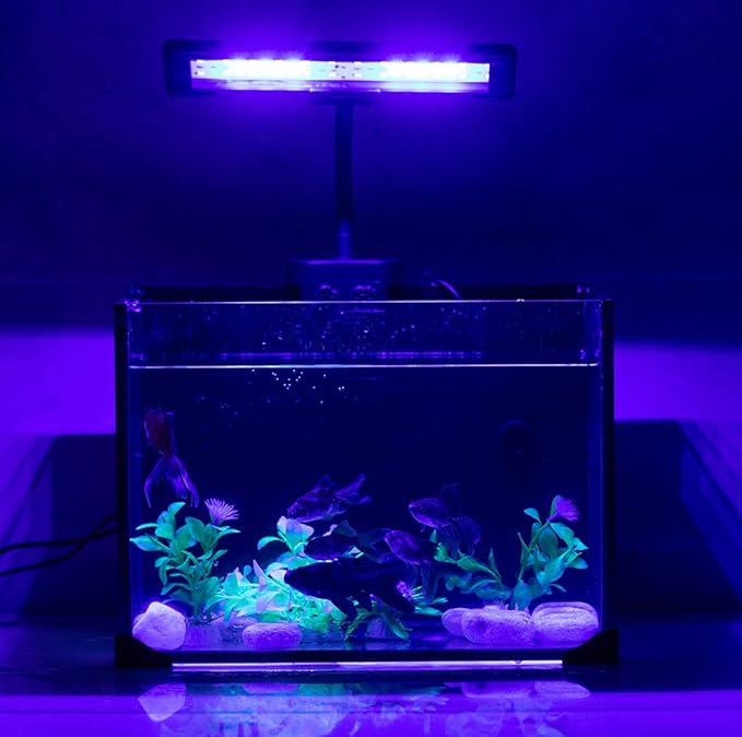 hygger 9.7 Inches Blue White LED Aquarium Light Clip on Small Led Light for Planted Saltwater Freshwater Fish Tank with Gooseneck Clamp 13W hygger