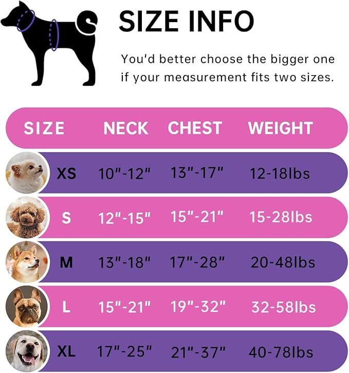 IVY&LANE No Pull Dog Harness for Medium Dogs, Dog Vest Harness with Leash, Safety Belt and Storage Strap, Fully Adjustable Harness, 360° Reflective Strip, Soft Handle (Fuchsia Pink,M) IVYLANE