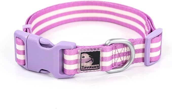 Striped Dog Harness Collar and Leash Set, Polyester Webbing Dog Collar Easy Walking and Training Dog Harness and Leash 3-in-1 Suit Adjustable Dog Harness Collar Leash Set for Dogs(Purple, M) Tiffpaws