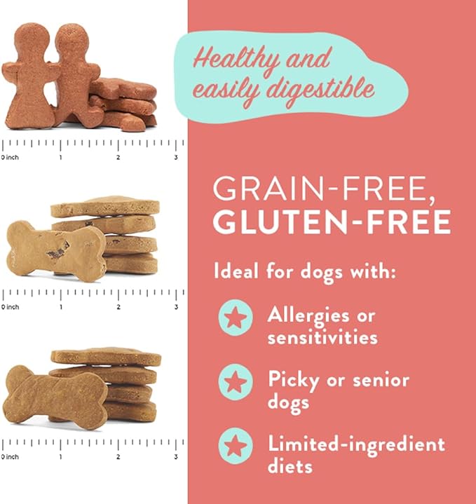 Portland Pet Food Company Pumpkin Healthy Dog Treats - Grain-Free, Human-Grade, Pumpkin Dog Treats - All Natural Dog Training Treats & Biscuits Made in the USA Only 1-Pack (5 oz) - PAWPICO