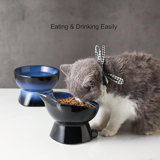 Nihow Elevated Cat/Dog Bowls Set : 5 Inch Ceramic Raised Cat Food and Water Bowl Set for Protecting Pet's Spine - Feeding & Watering Supplies for Pets- Elegant Blue & Black (2PC) - PAWPICO
