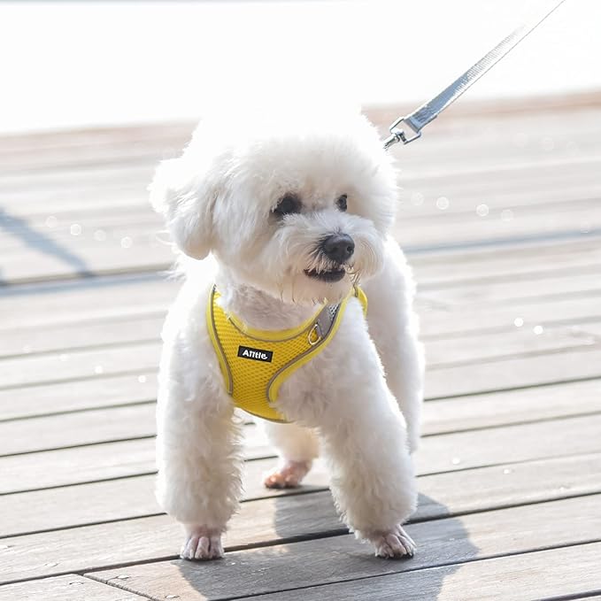 AIITLE Small Harness for Puppy with A Leash - Spring Dog Vest Harness with Super Breathable Mesh, Reflective No-Pull Pet Harness for Outdoor Walking, Camping for Small Dogs, Cats Yellow XXS AIITLE-FORPETSBETTERLIFE