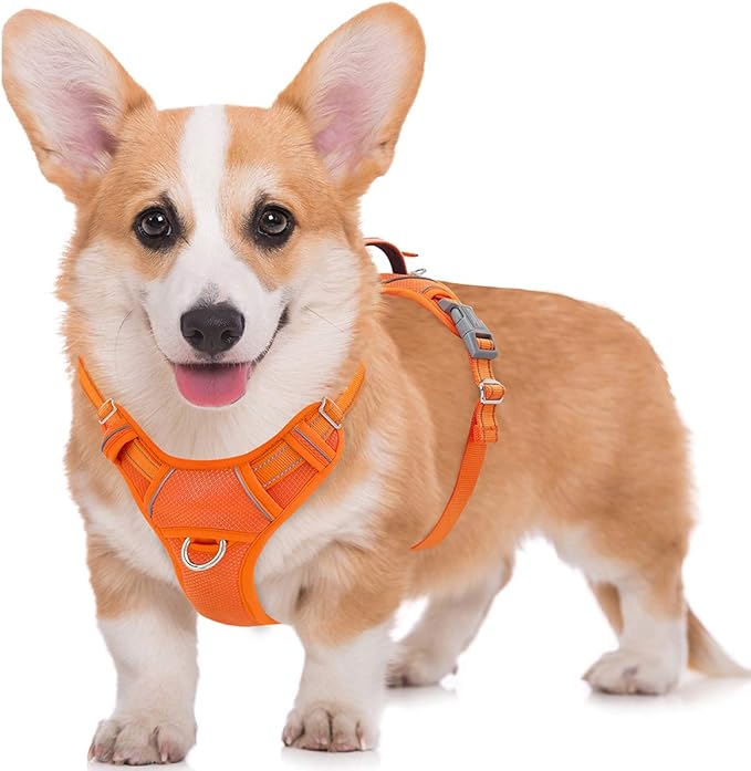 BARKBAY No Pull Dog Harness Large Reflective Dog Harness with Front Clip and Easy Control Handle for Walking Training Running with ID tag Pocket(Orange,M) BARKBAY
