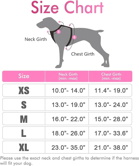 rabbitgoo Dog Harness, No-Pull Pet Harness with 2 Leash Clips, Adjustable Soft Padded Dog Vest, Reflective No-Choke Pet Oxford Vest with Easy Control Handle for Small Dogs, Pink, S - PAWPICO