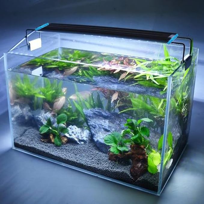 Bright Classic LED Aquarium Light, Reef Plant Fish Tank Light with Extendable Brackets, Aquatic Plant Growth Lamp White and Blue LEDs JackSuperAquariumPetsFocus