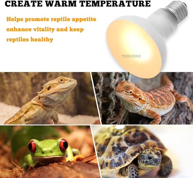 Heat Lamp Bulbs Reptile Basking Light Spot Daylight for Bearded Dragon,Lizard,Tortoise,Amphibian 75W(2 Pack) TEKIZOO
