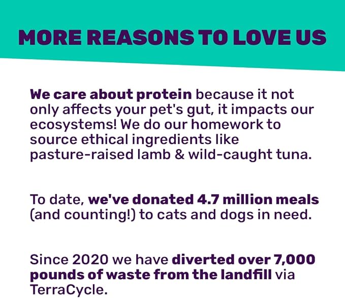 I AND LOVE AND YOU Wet Cat Food - Savory Salmon Pâté - Salmon Recipe, Grain Free, Filler Free, 3oz Pack of 4 Cans - PAWPICO