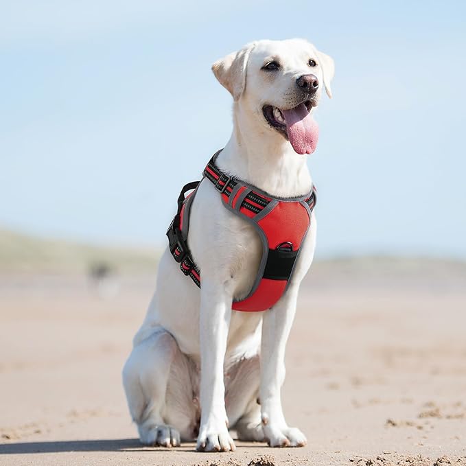 Eagloo Dog Harness for Large Dogs, No Pull Service Vest with Reflective Strips and Control Handle, Adjustable and Comfortable for Easy Walking, No Choke Pet Harness with 2 Metal Rings, Red, L GoExplorewithEagloo