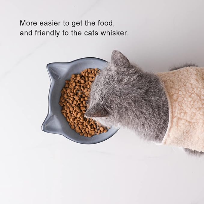 Nihow Elevated Cat/Dog Bowls Set : 6.2 Inch Ceramic Raised Cat Food & Water Bowl Set for Protecting Pet's Spine - Feeding & Watering Supplies for Cat/Small Size Dog - Elegant Gray(2PC) - PAWPICO