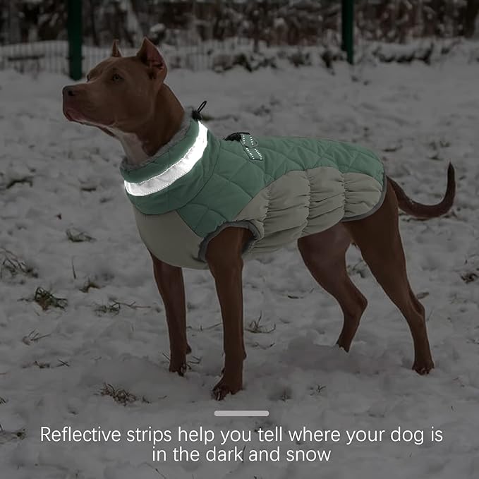 FUAMEY Dog Winter Jacket,Dog Cold Weather Coats Paded Dog Vest with Harness Built in Pet Warm Clothes Dog Apparel with Back Zipper Dog Water Resistant Coat for Small Medium Large Dogs Mint Green S - PAWPICO