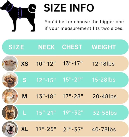 IVY&LANE No Pull Dog Harness with Leash Set, Reflective No Choke Pet Vest,Adjustable Oxford Dog Vest Harness with Easy Control Handle for Large Dogs (Turquoise,XL) IVYLANE