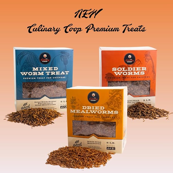 Fluker's Culinary Coop Premium Chicken Treats, High Protein Dried Mealworms, Nutritious Snacks for Chickens, Birds, and Reptiles, 5 lbs Box Flukers