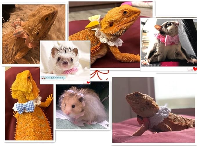 Lizard Bearded Dragons Stretchy Pink White Plaid Bowtie with Elastic Lace Decor Handmade Bowknot Collar Bandanas Costume Reptile Apparel Photo Gift Lizard Clothes Accessories for Bearded Dragon HAICHENTEC