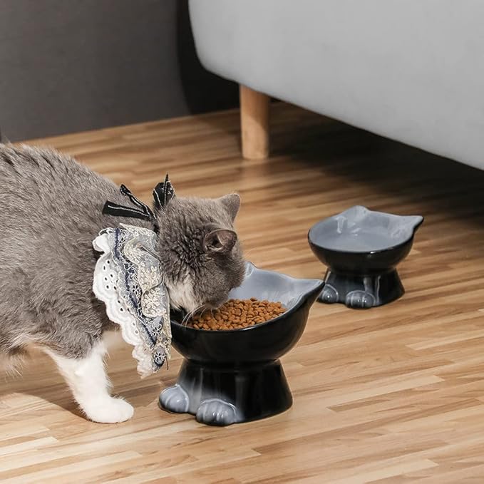 Nihow Elevated Cat/Dog Bowls Set : 6.2 Inch Ceramic Raised Cat Food & Water Bowl Set for Protecting Pet's Spine - Feeding & Watering Supplies for Cat/Small Size Dog - Elegant Gray(2PC) - PAWPICO