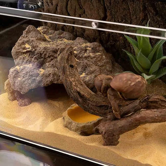 Reptile Simulation Rock Cave Hideouts Terrarium Habitat Décor Bearded Dragon Hideout for Turtles Lizards Snakes Crab (Medium) LUCOSIU