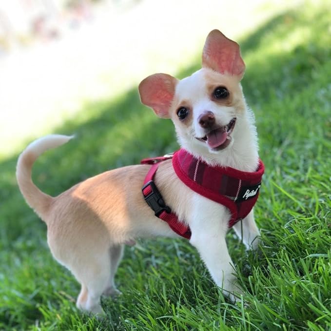 PUPTECK Soft Mesh Dog Harness and Leash Set Pet Puppy Cat Comfort Padded Vest No Pull Harnesses, Red, S PUPTECK