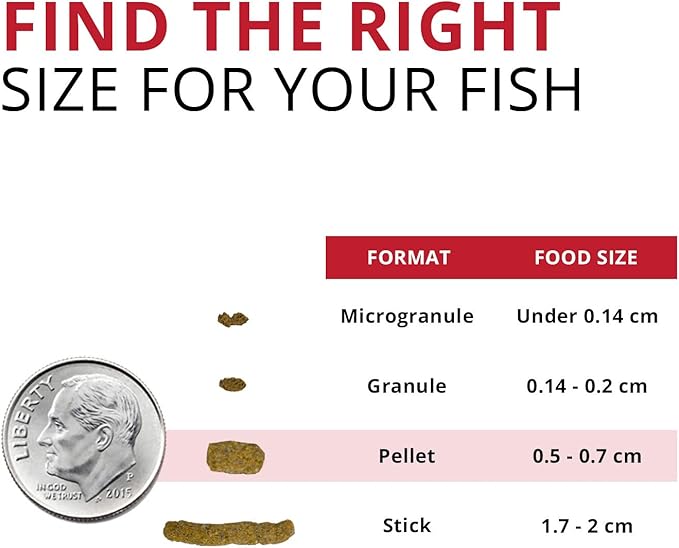Fluval Bug Bites Cichlid Fish Food, Pellets for Medium to Large Sized Fish, 3.53 oz., A6581 (Pack of 2) Fluval