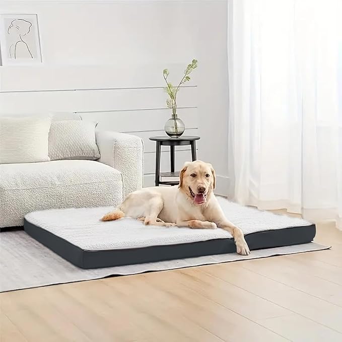 Orthopedic Dog Bed, Memory Foam Revisable Two Side with Washable Removable Cover, Small 20”x15” - PAWPICO
