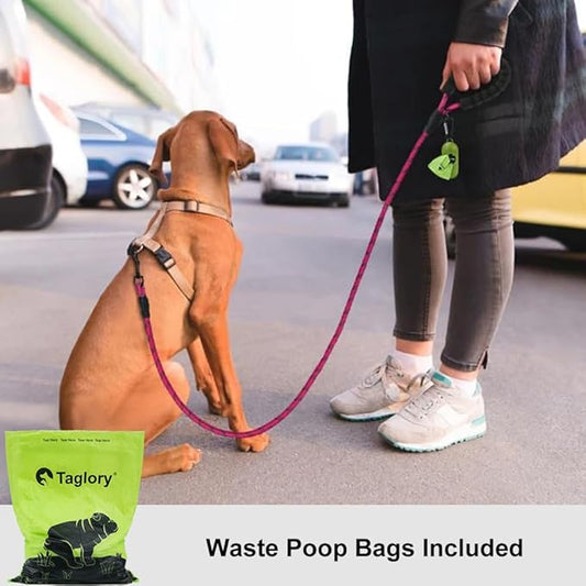 Taglory Rope Dog Leash 5 FT with Comfortable Padded Handle, Highly Reflective Threads Leash for Small Dogs, 3/8 inch, Hotpink Taglory